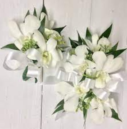 Wonderfully White 