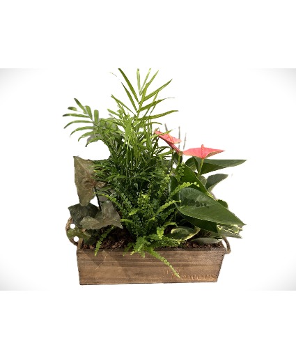 Wooden Box Mixed Plants Planter