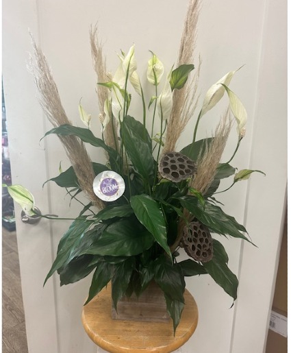 Wooden Planter with Peace Lily 
