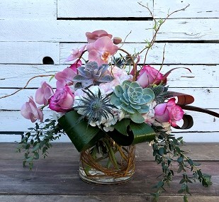 Woodland Orchids and Succulents 