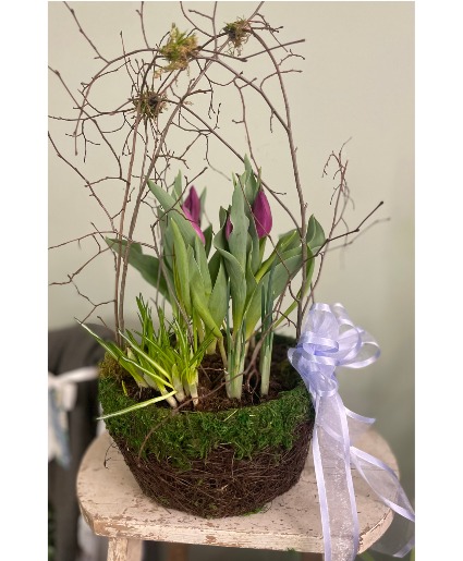 Woodland Spring Bulb Garden  