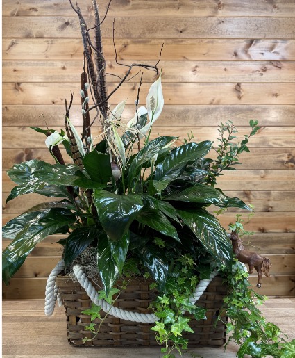Woodland Whisper  Plant Basket