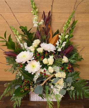 Woodland Whites T&V Exclusive 