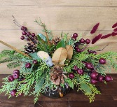 Crimson Frost T&V Original