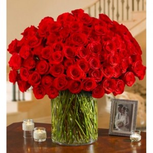 WOW!  100 Roses Arranged