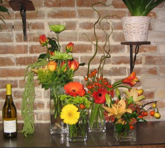 WOW-7 WOW! in New Orleans, LA | HARKINS THE FLORIST
