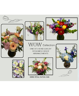 WOW Collection Luxury Vase