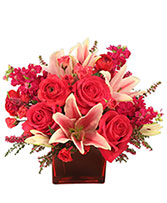 WOW Factor! Arrangement