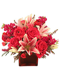 WOW Factor! Arrangement
