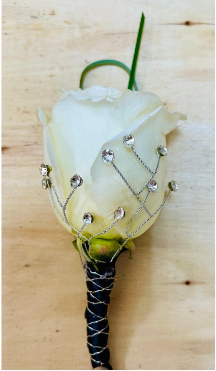 Wrapped in Rhinestones 