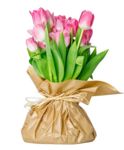 Wrapped Tulips 