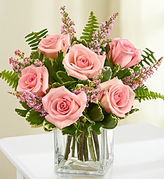 6 Pink Roses with filler in a cube vase!  (R) Very Popular! Filler will be wax  flower or baby's breath...seasonal.