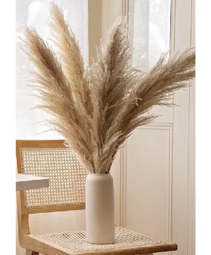Xl Pampas Grass, Bunch Of 4 Stems gifts