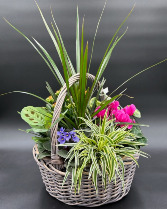 XL Wicker Euro Garden Blooming Planter Basket