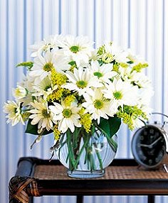 DAISY CHEERS Vase Arrangement