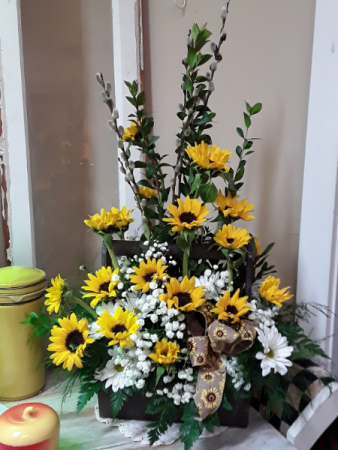 Y & W daisy love Onesided with daisy mums & bb