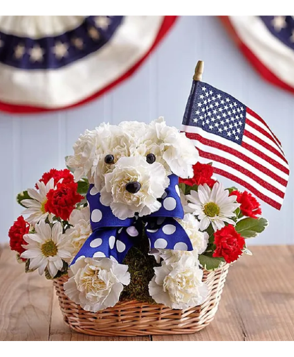Yankee Doodle Doggie 