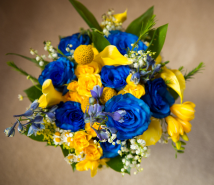 yellow and blues 