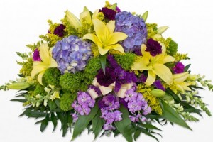 Yellow and purple spray 