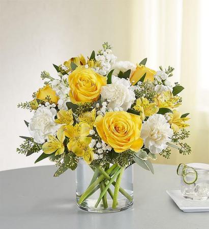 Yellow and White Delight 
