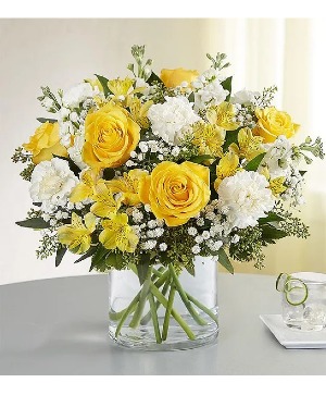 Yellow and White Delight Yellow and White Flowers