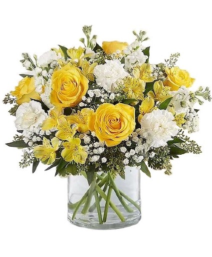 Yellow and White Delight Get Well