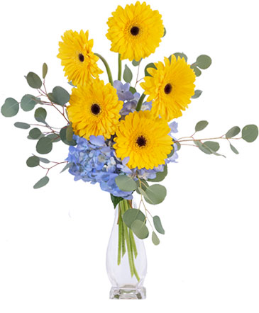 Yellow Blues Floral Arrangement in Marmaduke, AR | Choco Taco Florist ***TEST SHOP****