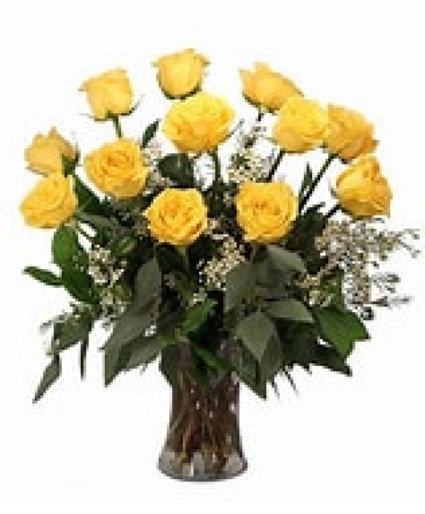 Yellow Dozen everyday