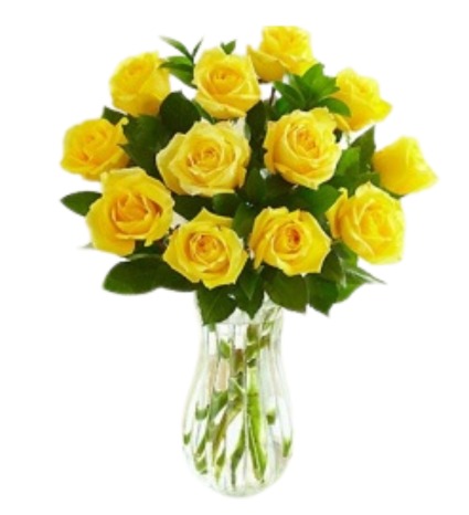 Yellow Dozen  Rose