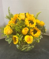Yellow Fellow 