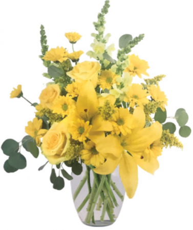 Yellow Frenzy 