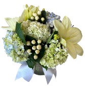 Lily of the Valley 