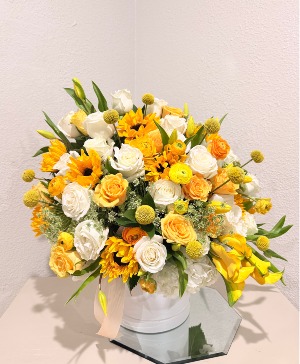 YELLOW MELLOW LOVE  JUST BECAUSE