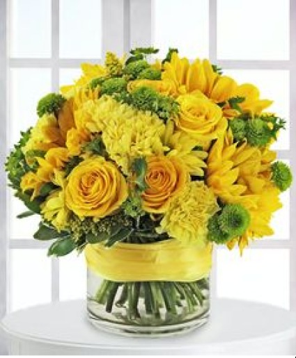 Yellow Monday Yellow Monday