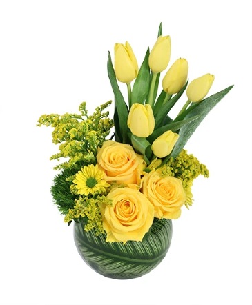 Yellow Optimism Flower Arrangement in Philadelphia, PA | QA Test Account