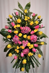 Yellow & Pink Departure Spray