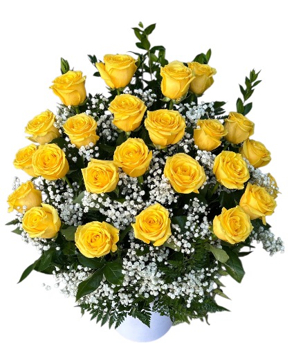 Yellow Roses  