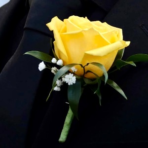 Yellow Rose Bout 