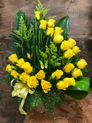 Yellow roses 