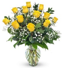 Yellow Roses 