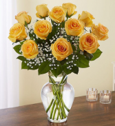 yellow roses fresh