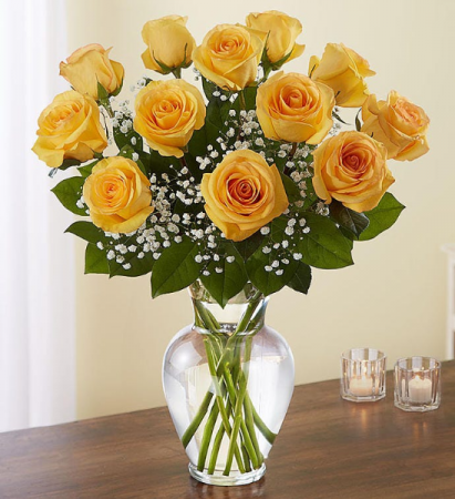 yellow roses fresh