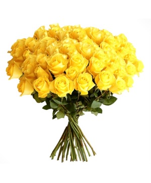 Yellow Roses in a Wrap 