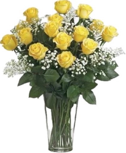 Yellow Roses of Texas Roses