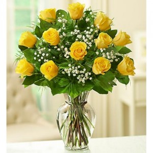 Yellow Roses Roses
