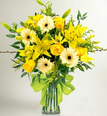 Yellow Rays of Sunshine  