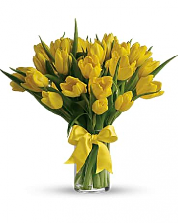 Yellow Tulips  