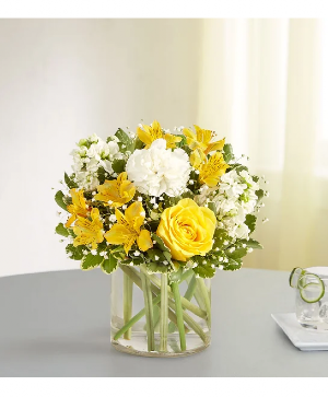 Yellow & White  Fresh Flowers 