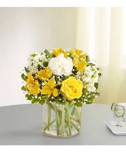 Yellow & White  Fresh Flowers 
