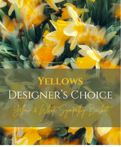 Yellows Designer's Choice Sympathy Basket
